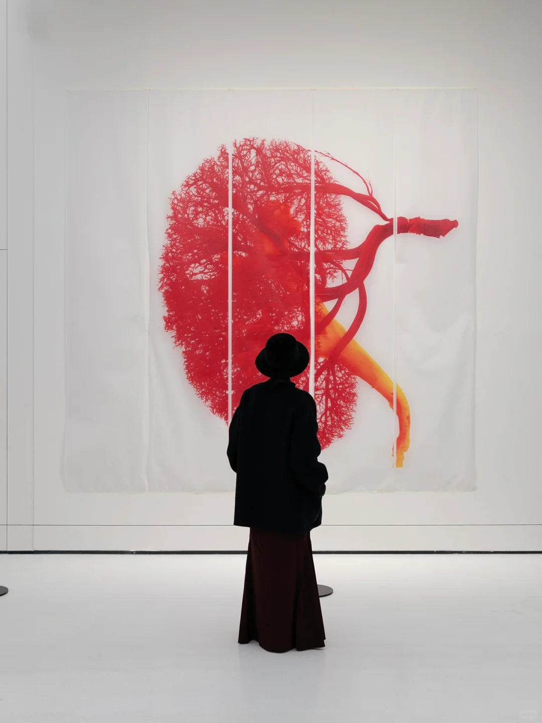 ✨近期广美坠值得看的11个新展?好拍又好逛～