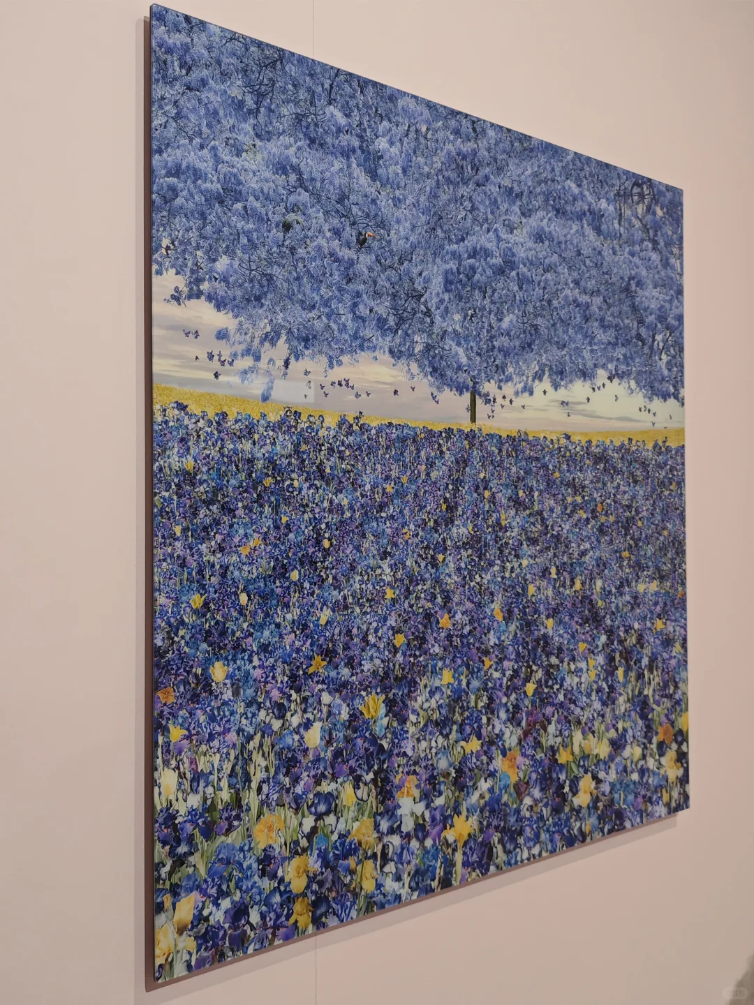 深圳逛展|左滑播放浪漫紫色专辑??