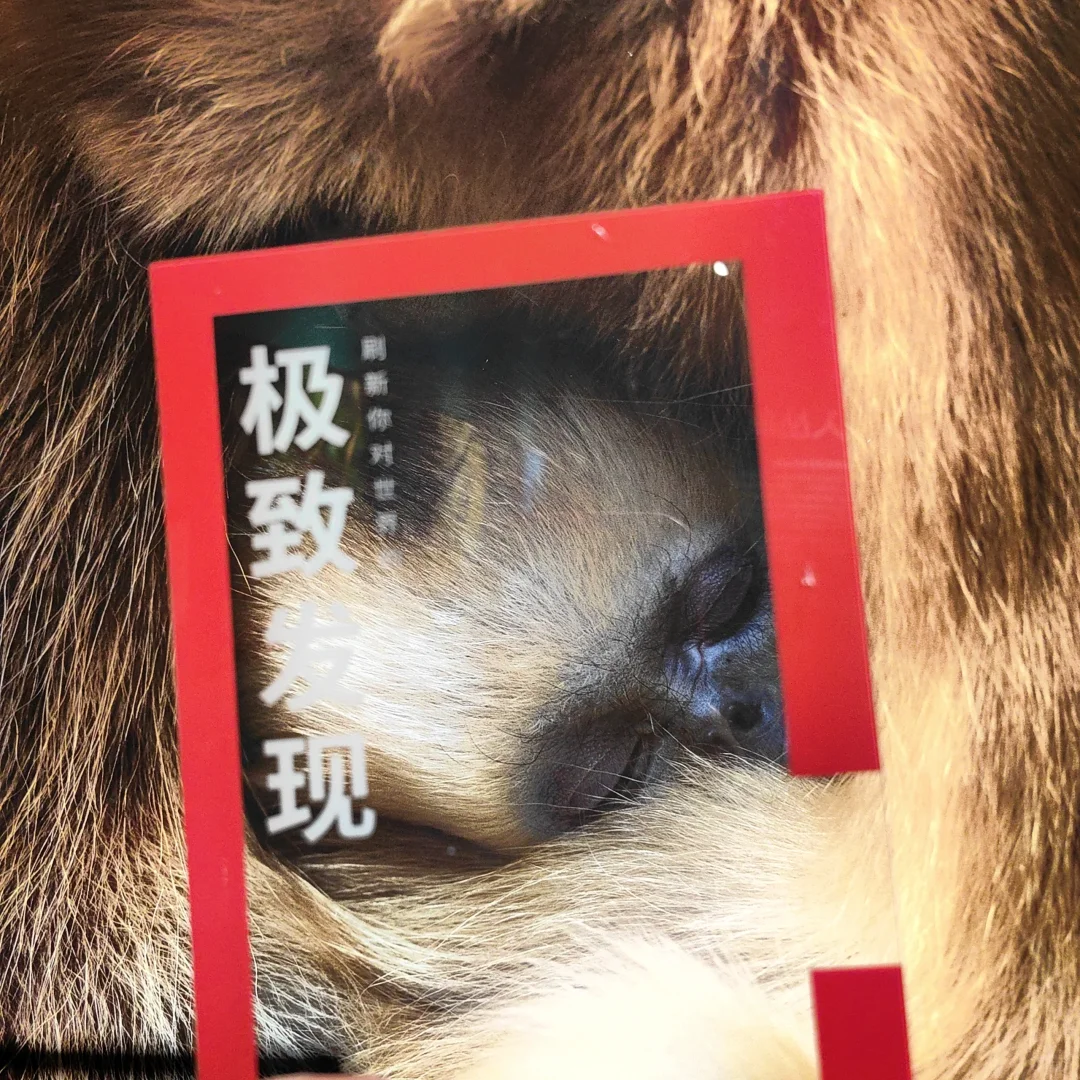 过年看展，打卡国家地理摄影展