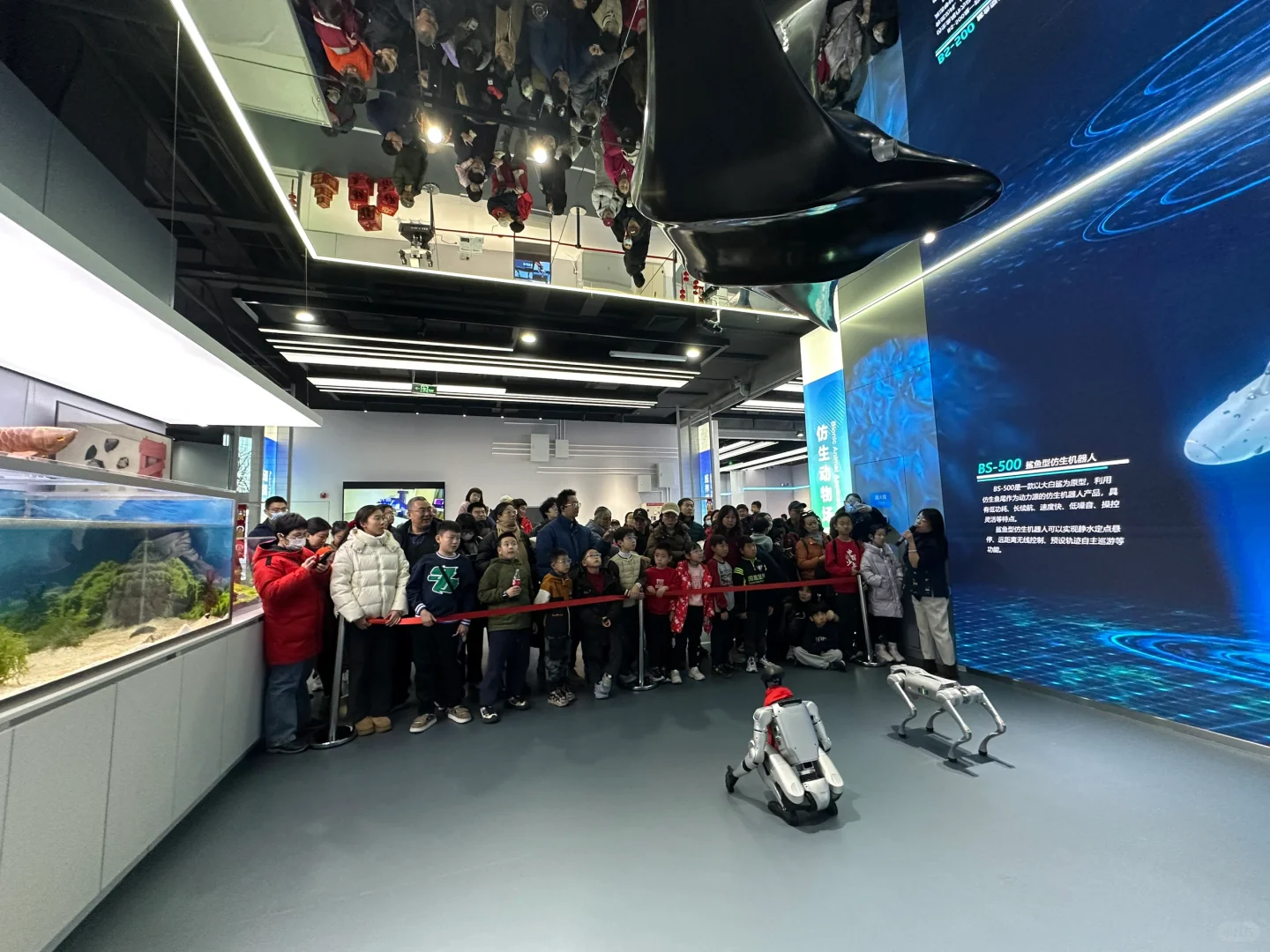 春晚机器人炸场!亦庄机器人大世界新春看展