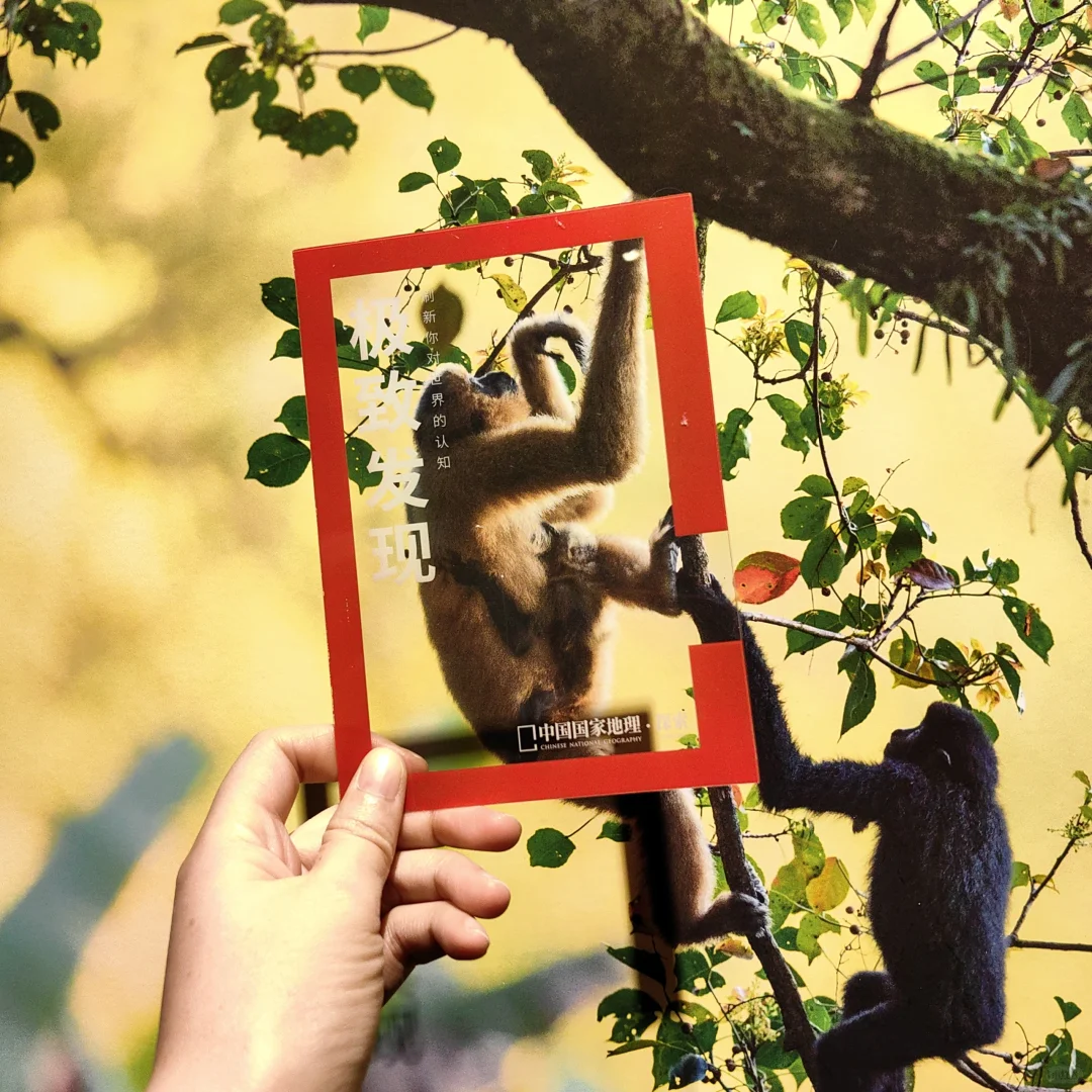 过年看展，打卡国家地理摄影展