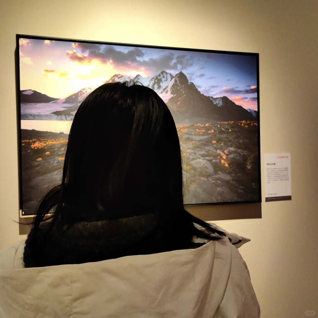 过年看展，打卡国家地理摄影展