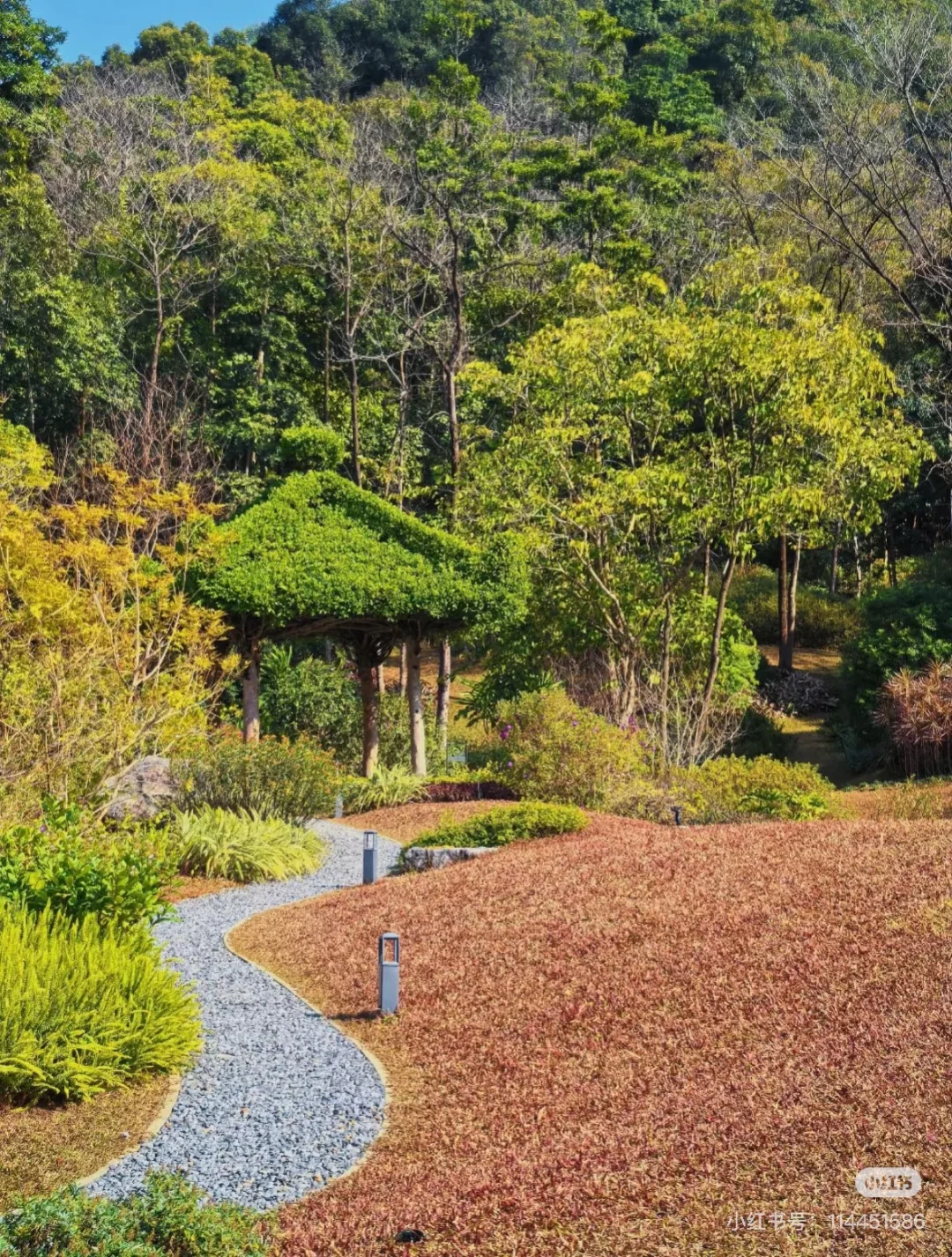一起来天然氧吧~