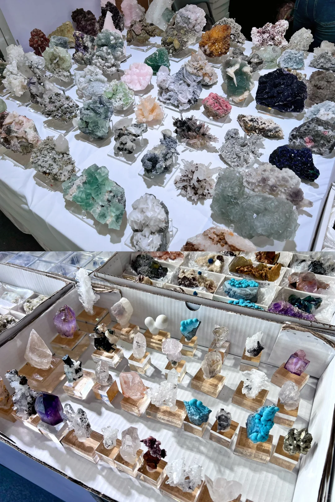 南京矿博会｜爱石头的人会疯吧