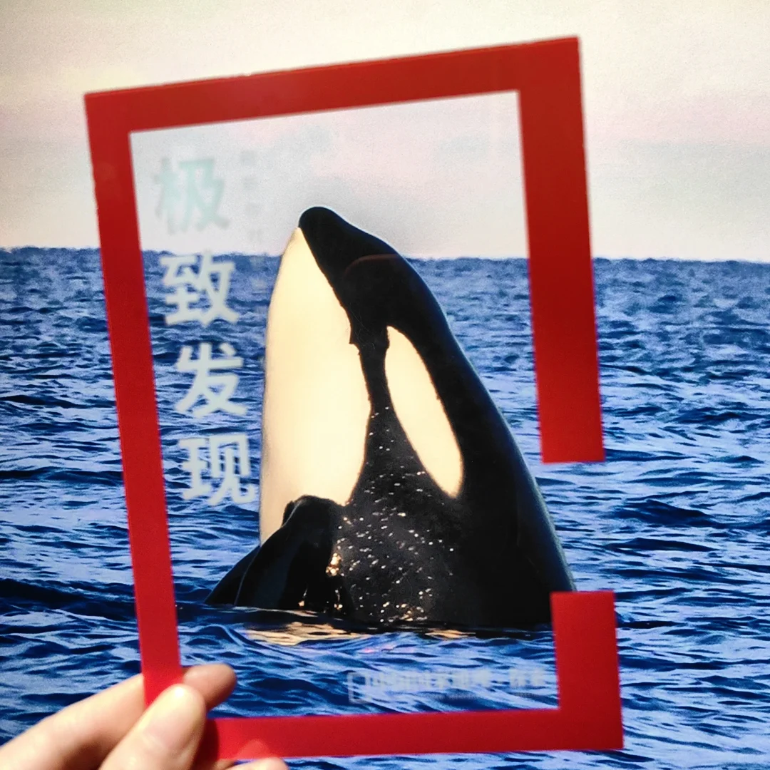 过年看展，打卡国家地理摄影展