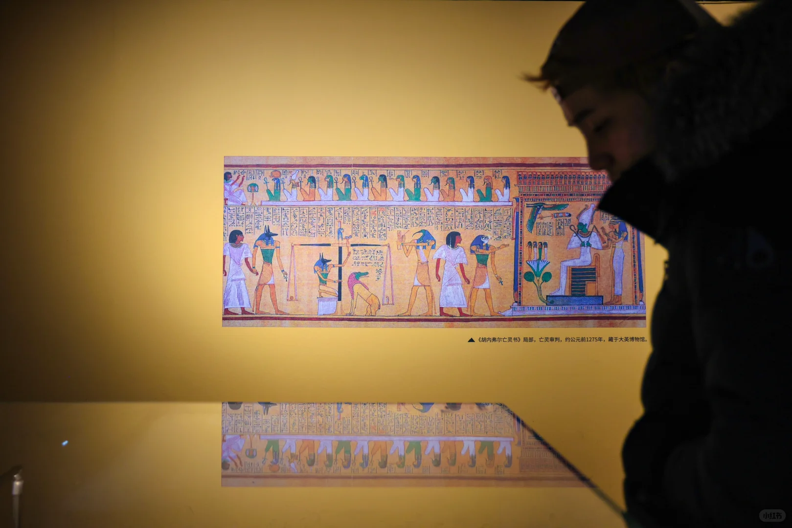 还剩最后俩月❗️北京千年木乃伊展览即将闭展