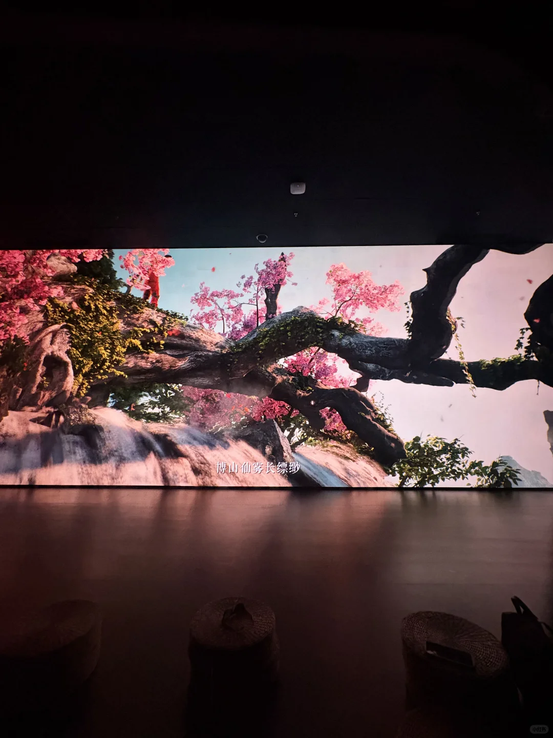 石家庄河博新展~让文物活起来啦!!