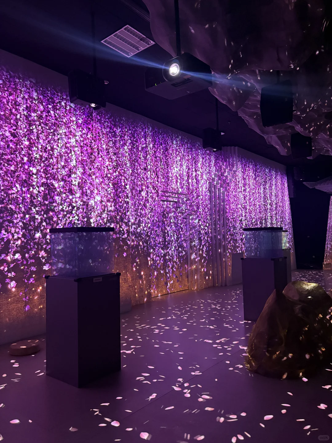 石家庄河博新展~让文物活起来啦!!