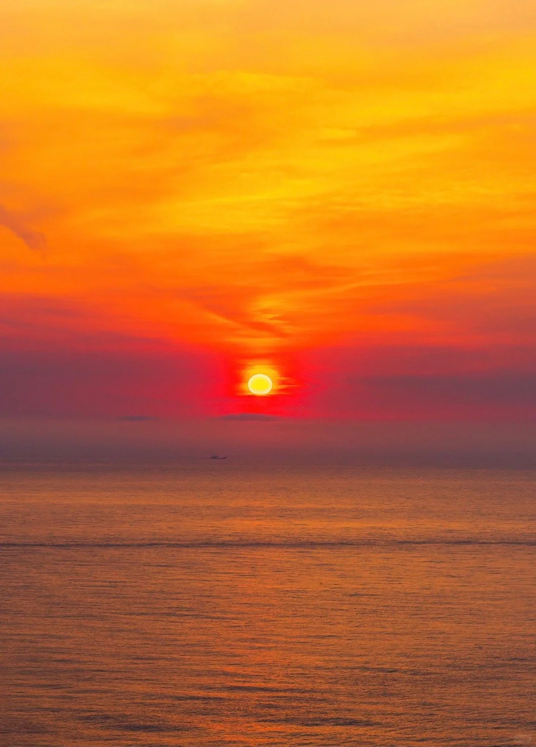 3.19每日常识+时政！