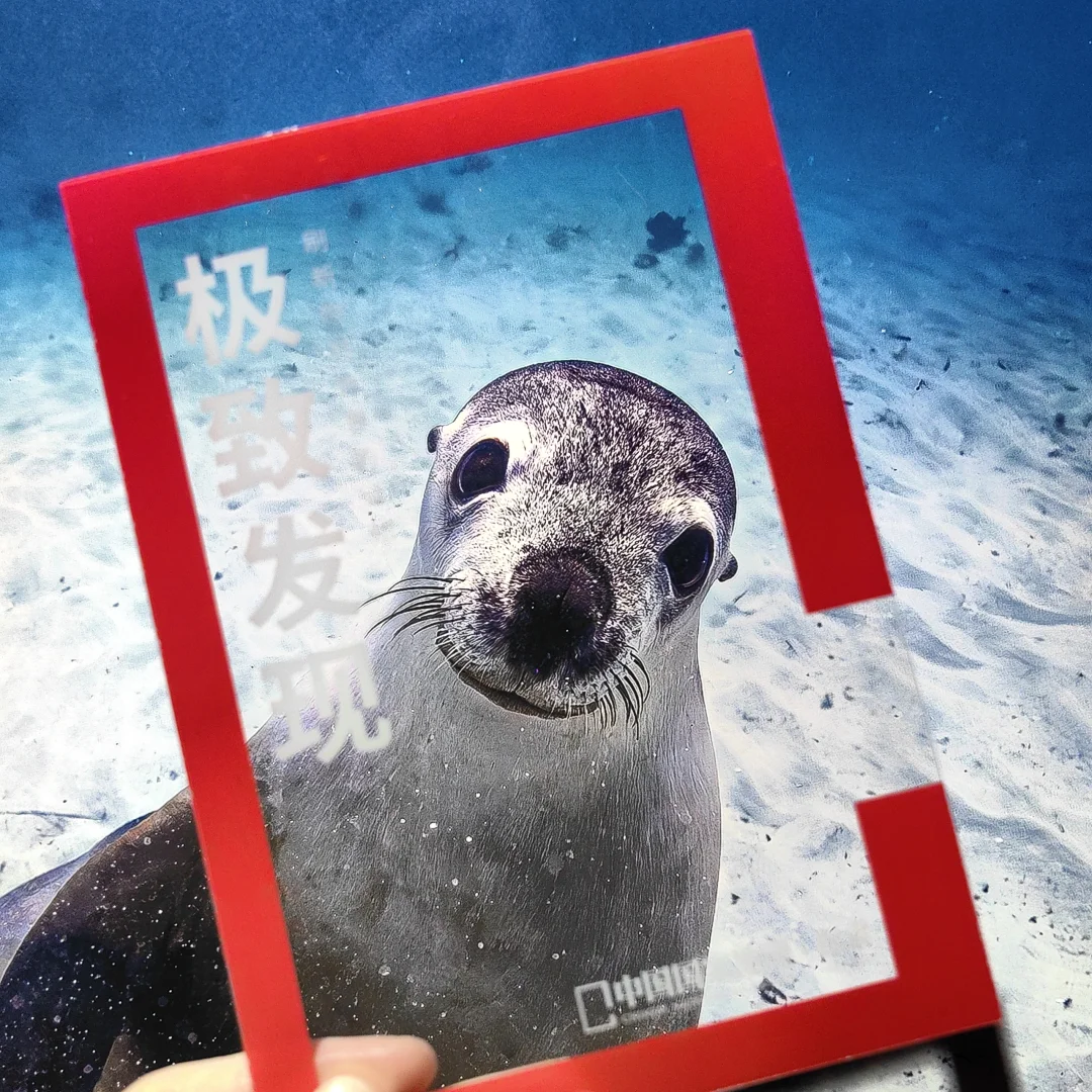 过年看展，打卡国家地理摄影展