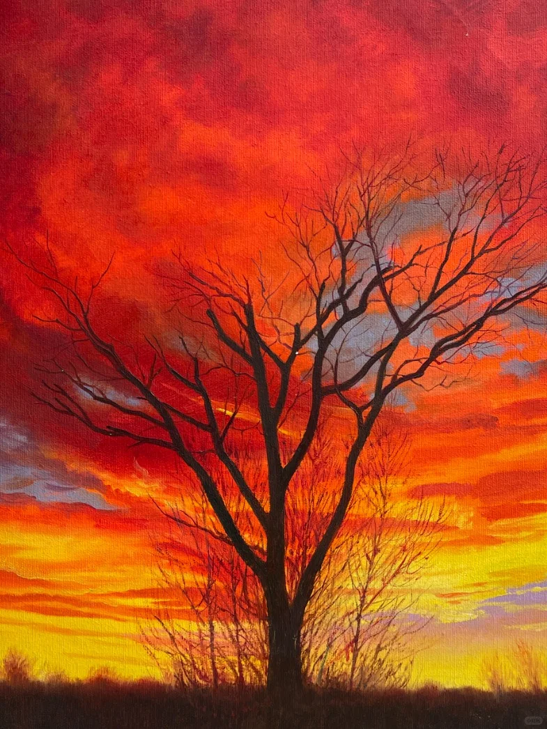 红红火火 56*56cm