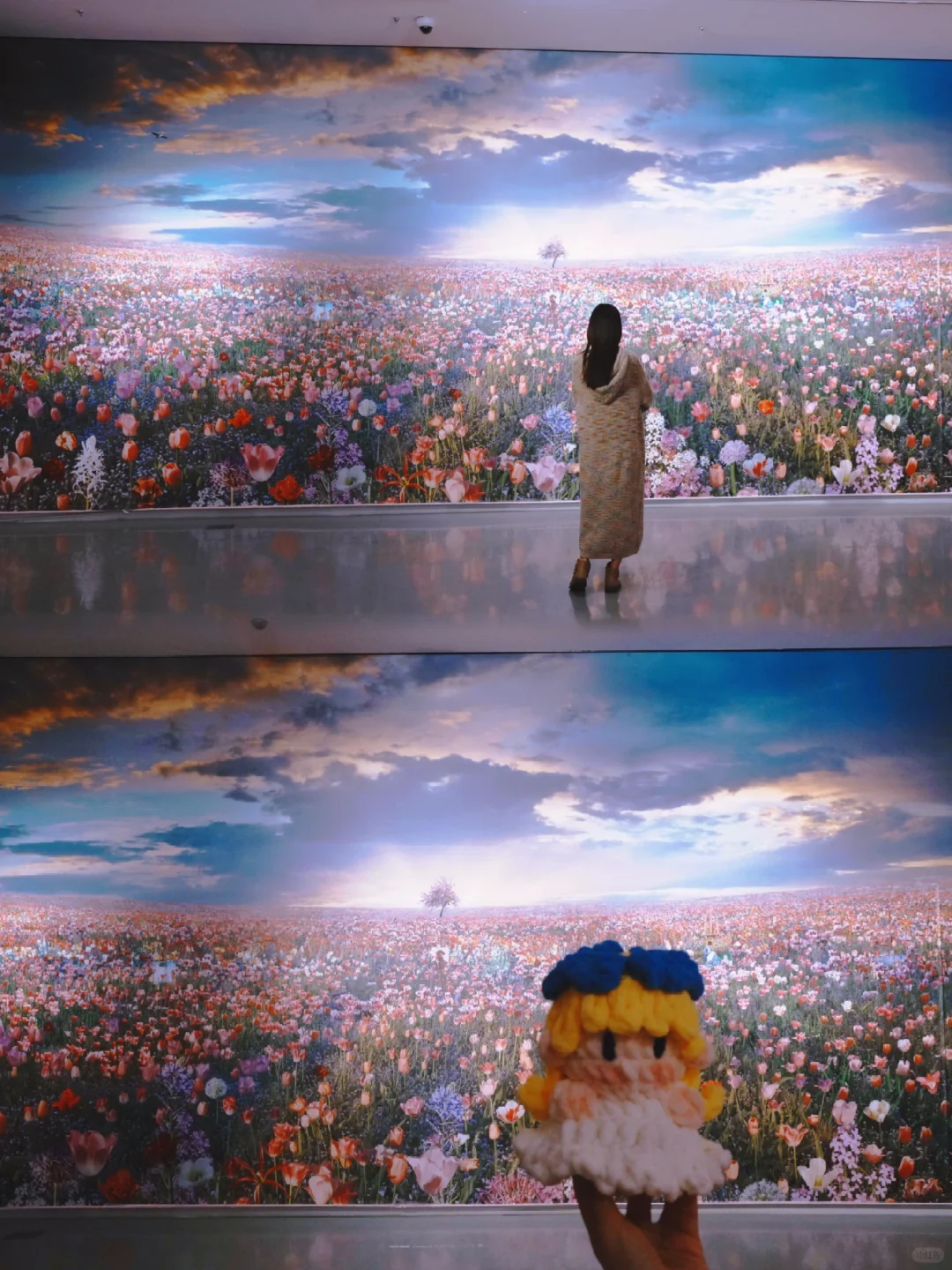 深圳逛展|左滑播放浪漫紫色专辑??