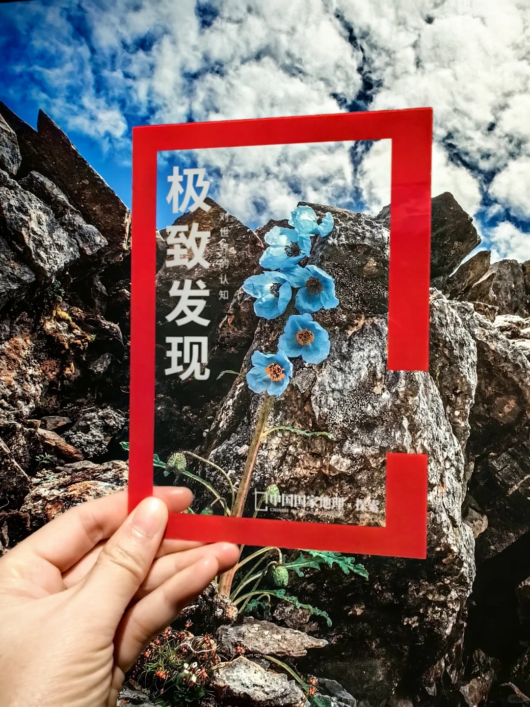 过年看展，打卡国家地理摄影展