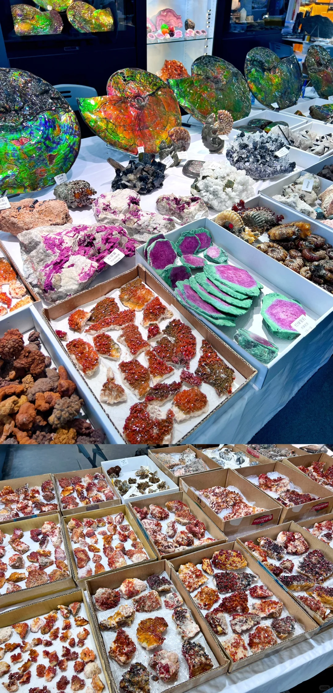 南京矿博会｜爱石头的人会疯吧