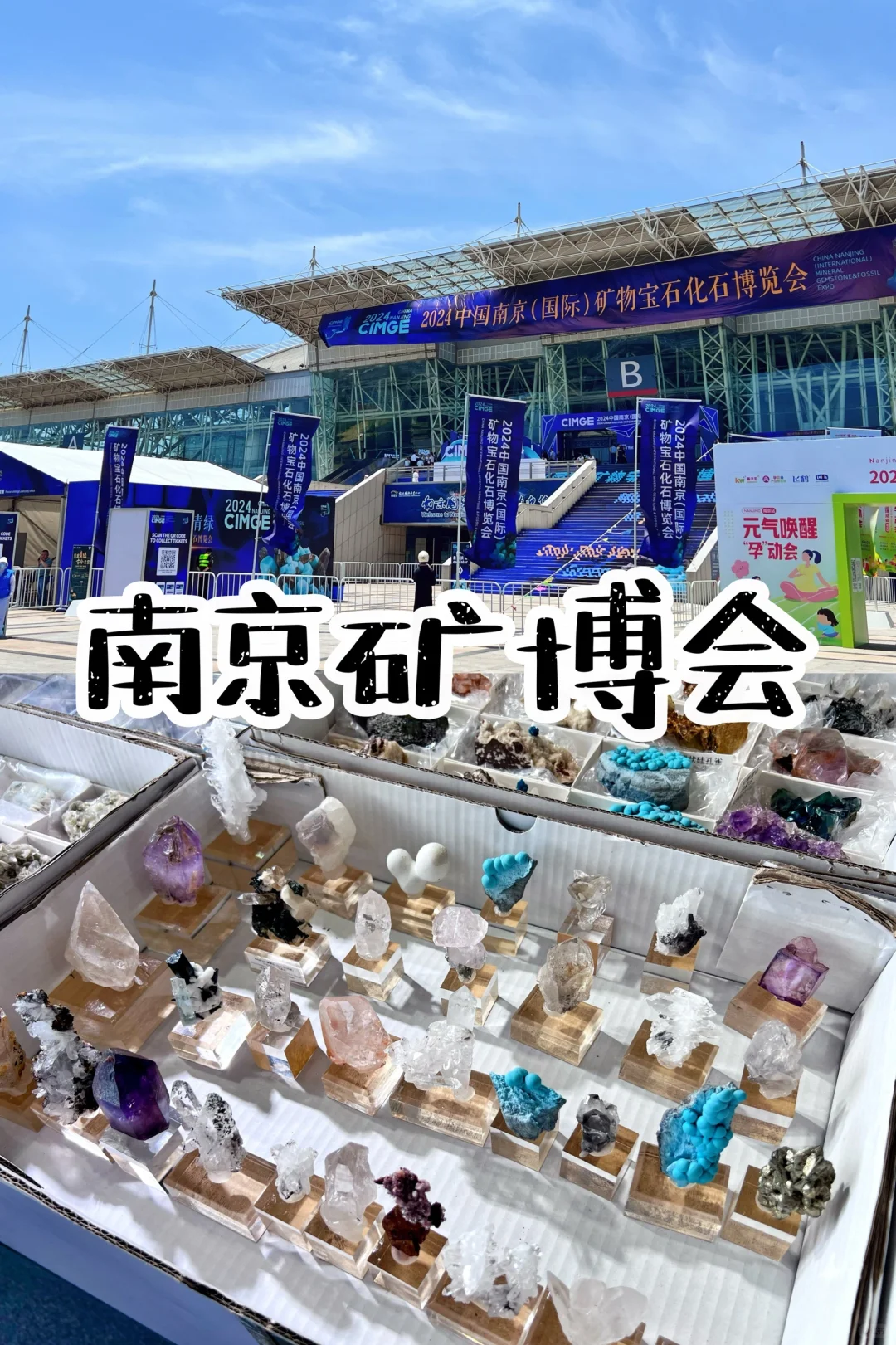 南京矿博会｜爱石头的人会疯吧