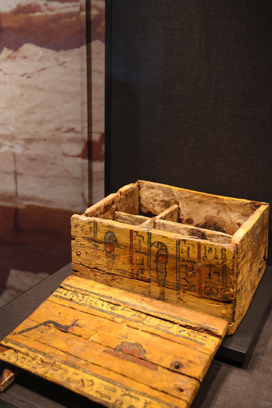 还剩最后俩月❗️北京千年木乃伊展览即将闭展