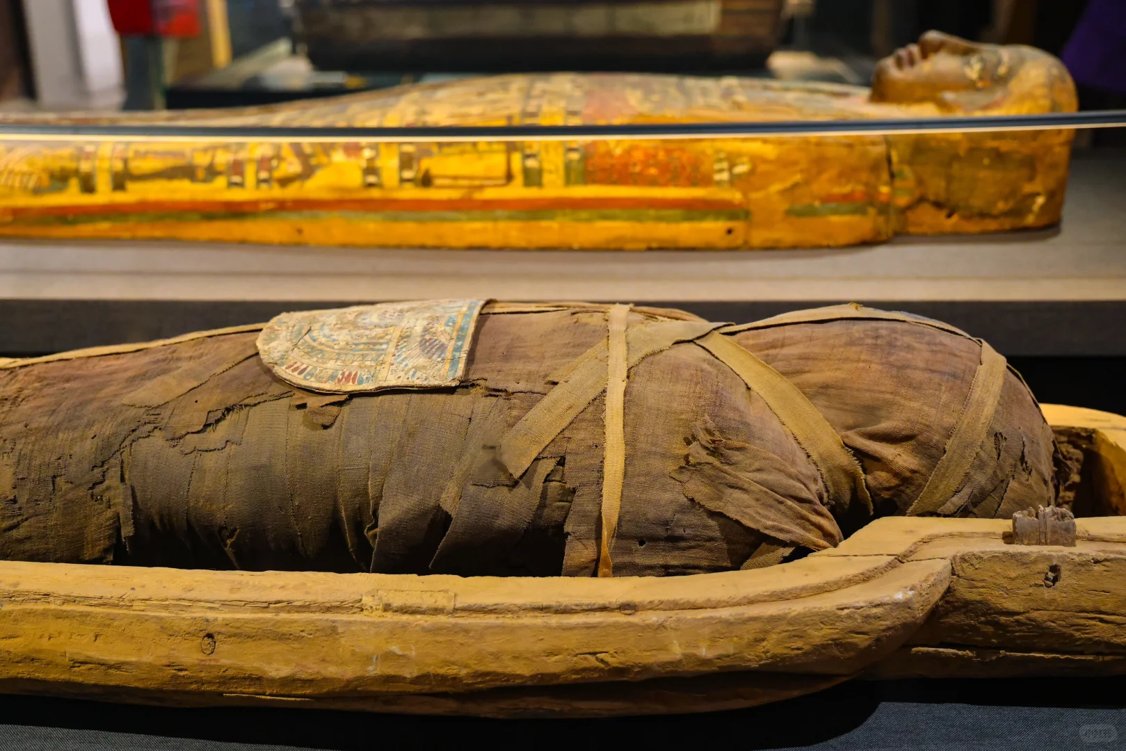 还剩最后俩月❗️北京千年木乃伊展览即将闭展