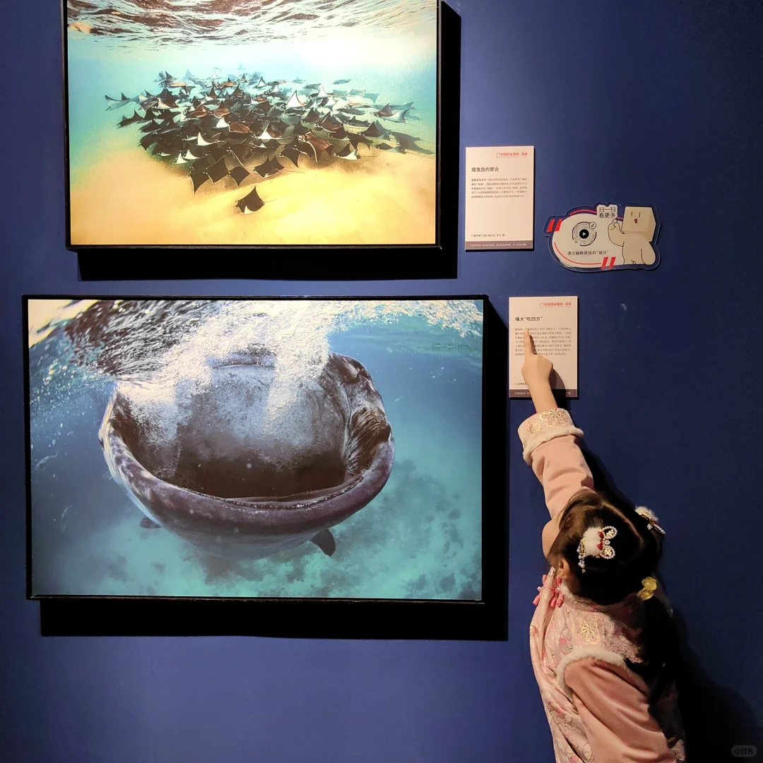 过年看展，打卡国家地理摄影展