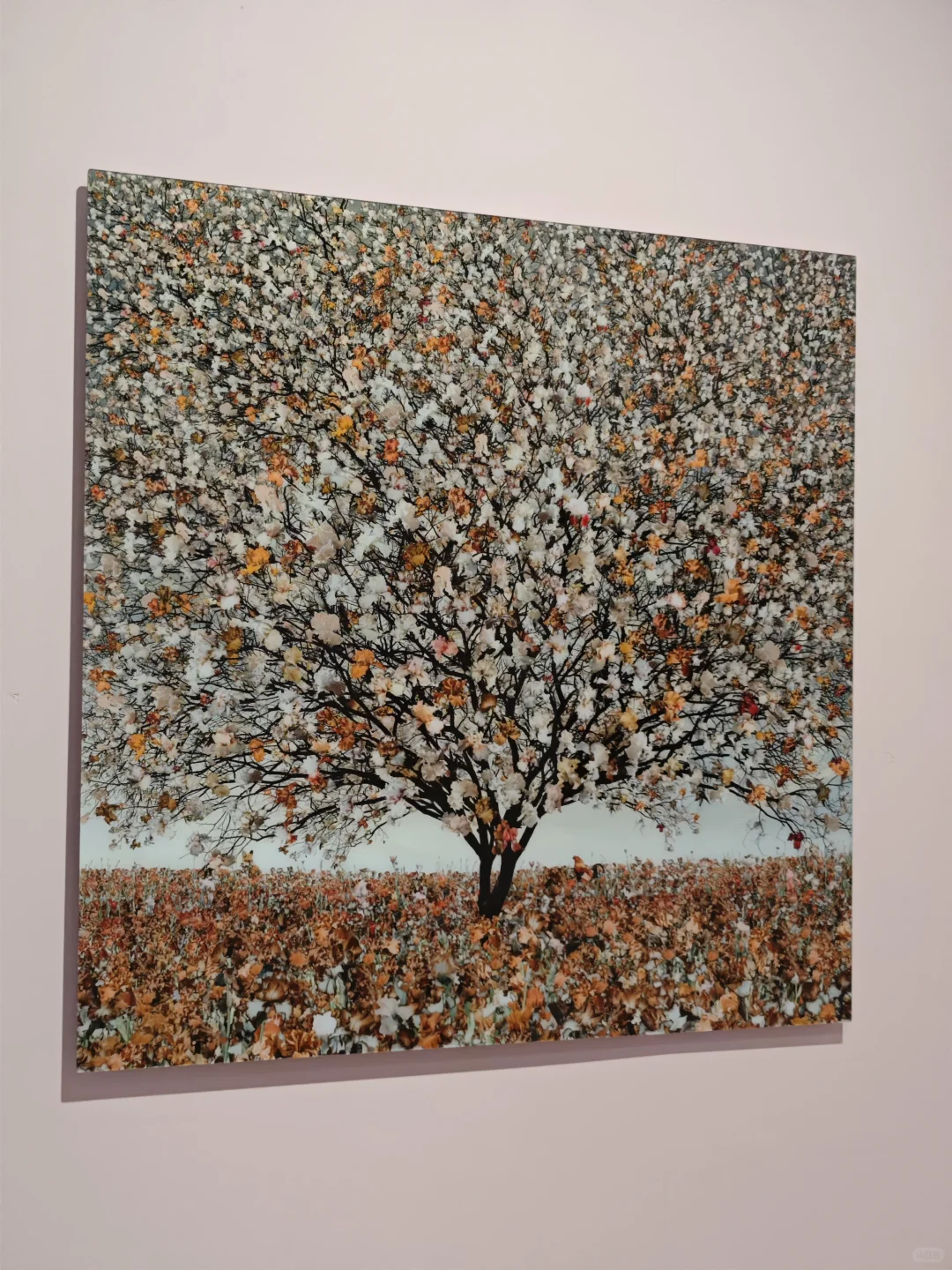 深圳逛展|左滑播放浪漫紫色专辑??