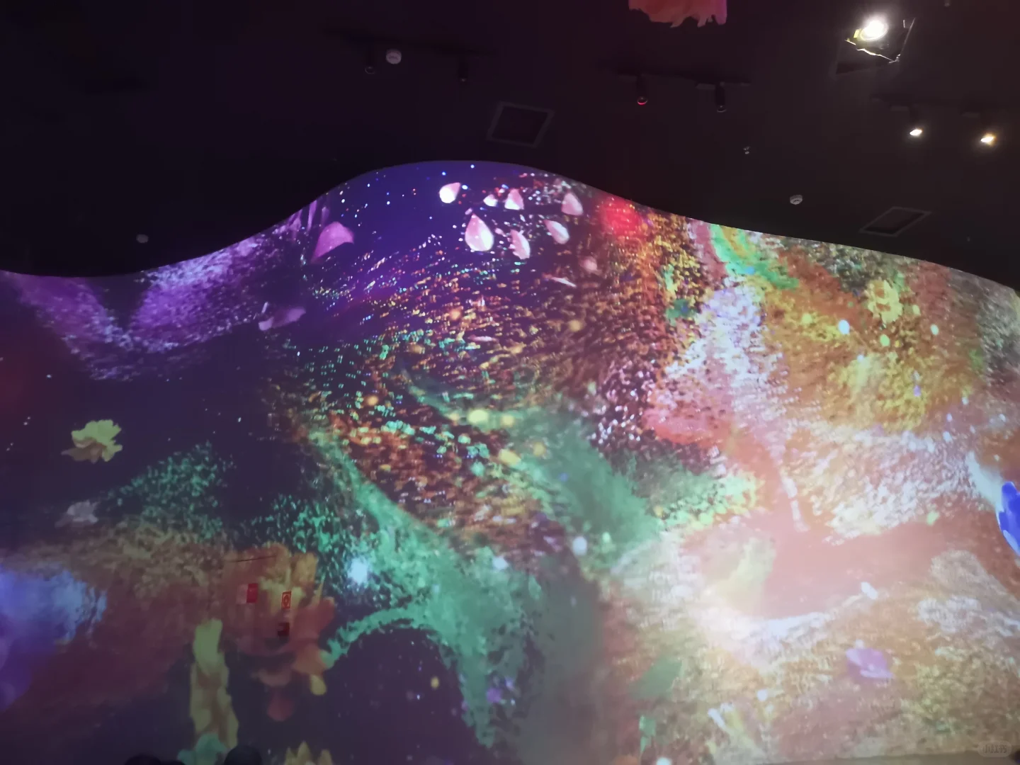 假如美的尽头是色彩的斑斓