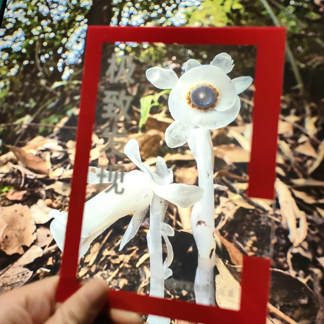 过年看展，打卡国家地理摄影展