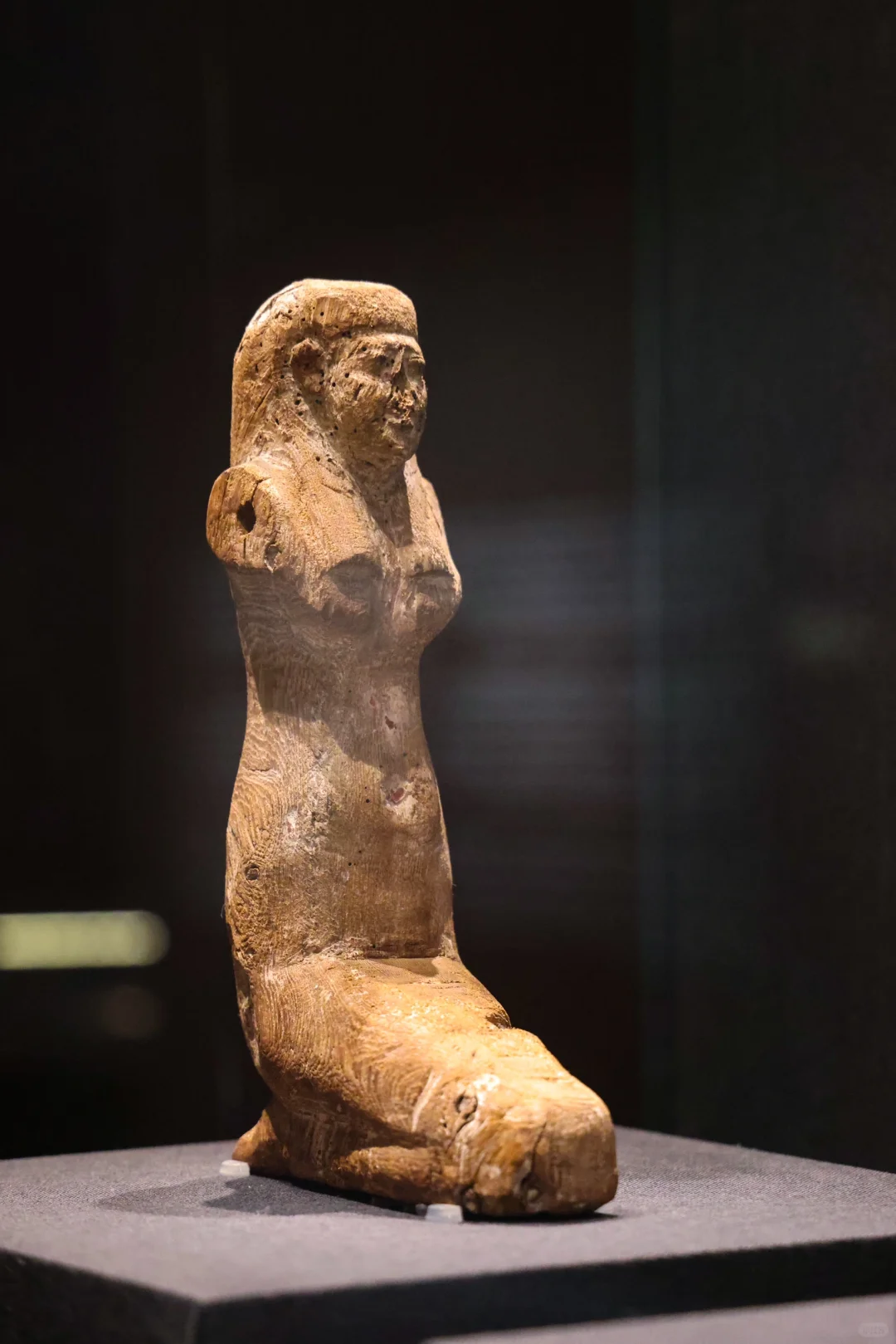 还剩最后俩月❗️北京千年木乃伊展览即将闭展