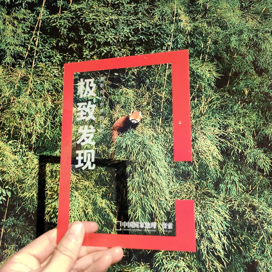 过年看展，打卡国家地理摄影展