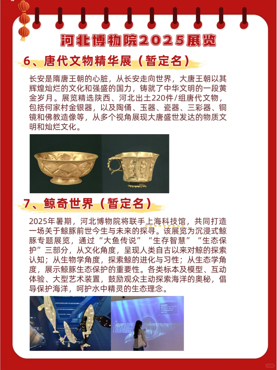 河北新展｜河北博物院2025展览计划来啦！