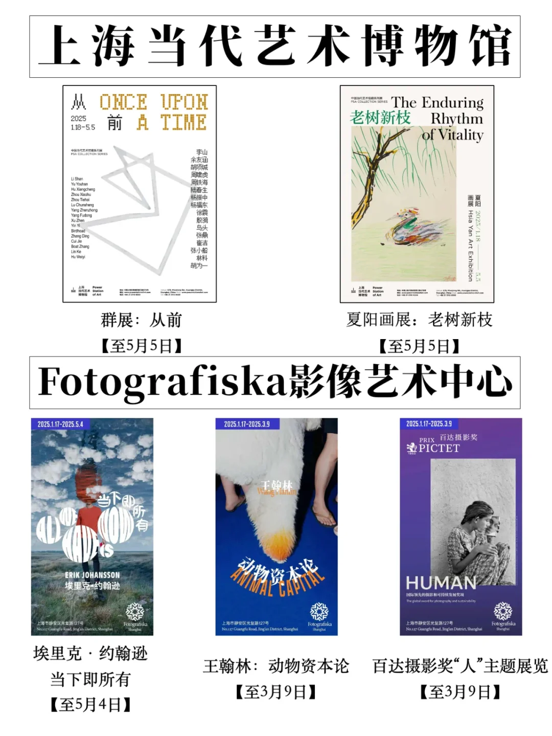 上海｜2月那些不能错过的展览