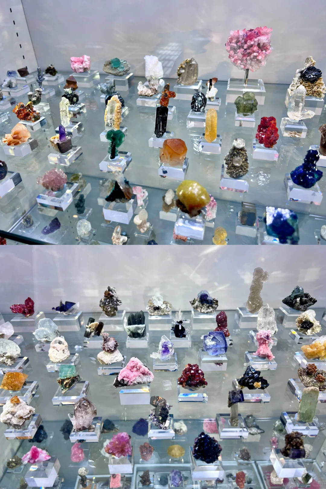 南京矿博会｜爱石头的人会疯吧