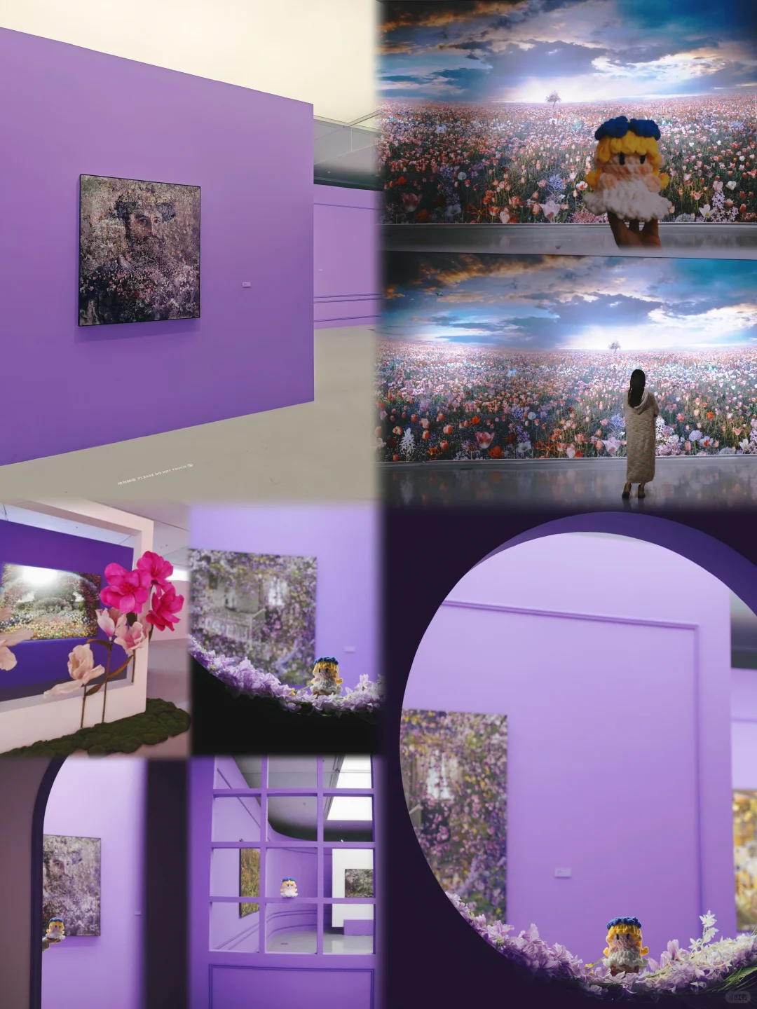 深圳逛展|左滑播放浪漫紫色专辑??