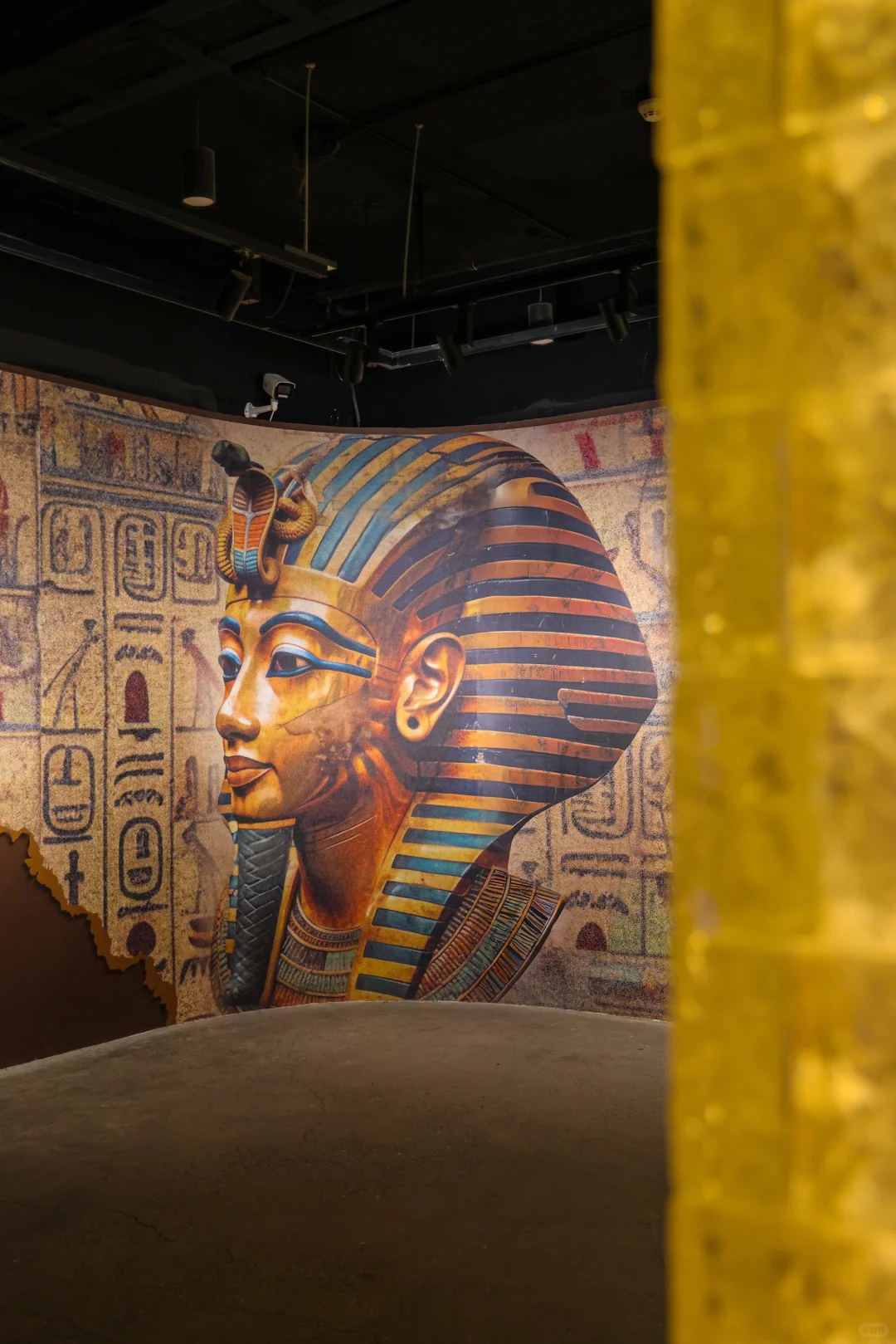 还剩最后俩月❗️北京千年木乃伊展览即将闭展