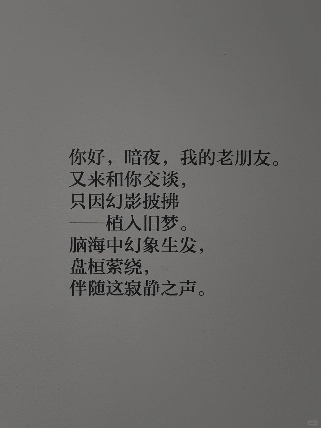 上海新展｜寂静之声Sound of silence