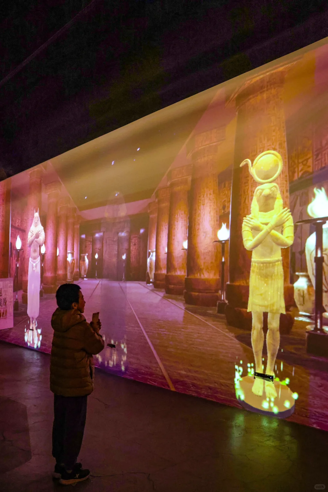 还剩最后俩月❗️北京千年木乃伊展览即将闭展