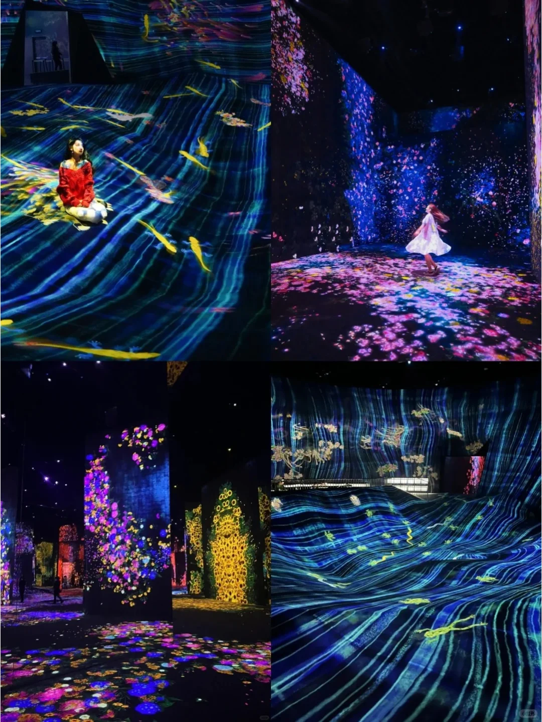 ?春节必去TeamLab澳门超自然空间