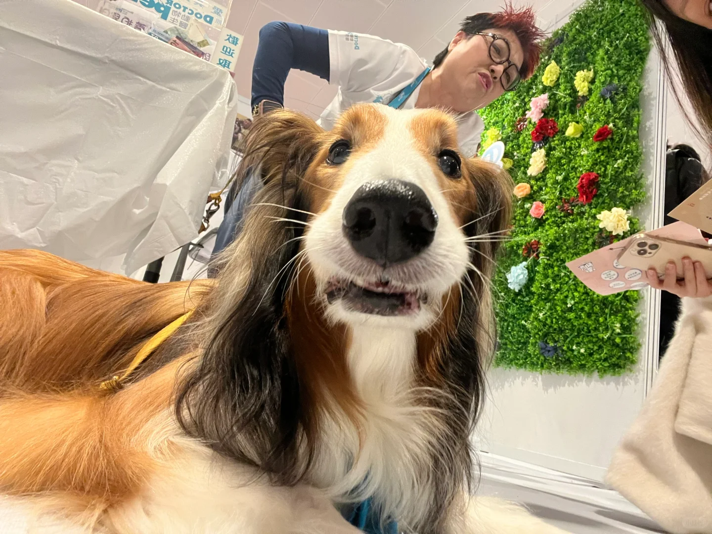 偶遇cityu?? Dr.Paws?