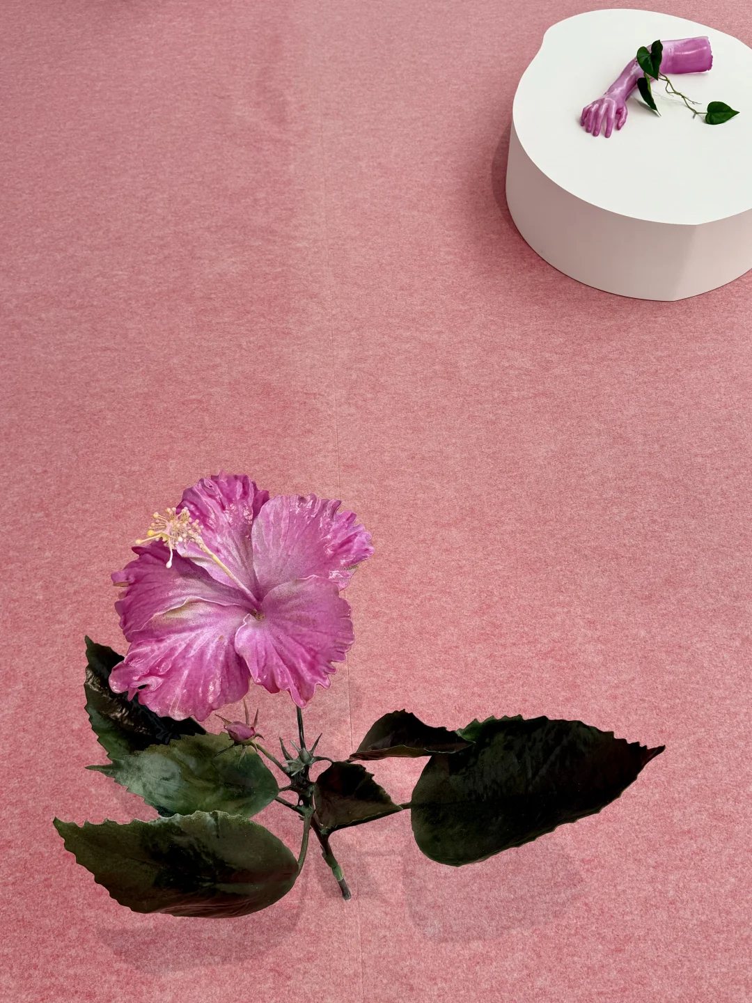 东京看展??开年没看这3个展 等于白来东京