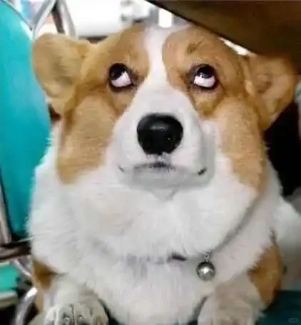 出国参展就是浪费钱！