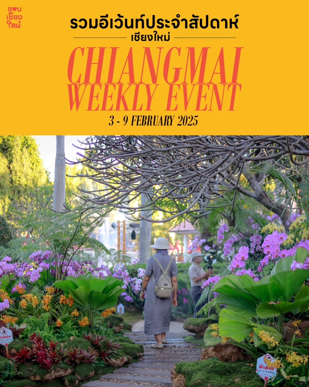 ?? 清迈活动推荐 | 2025年2月3日-9日