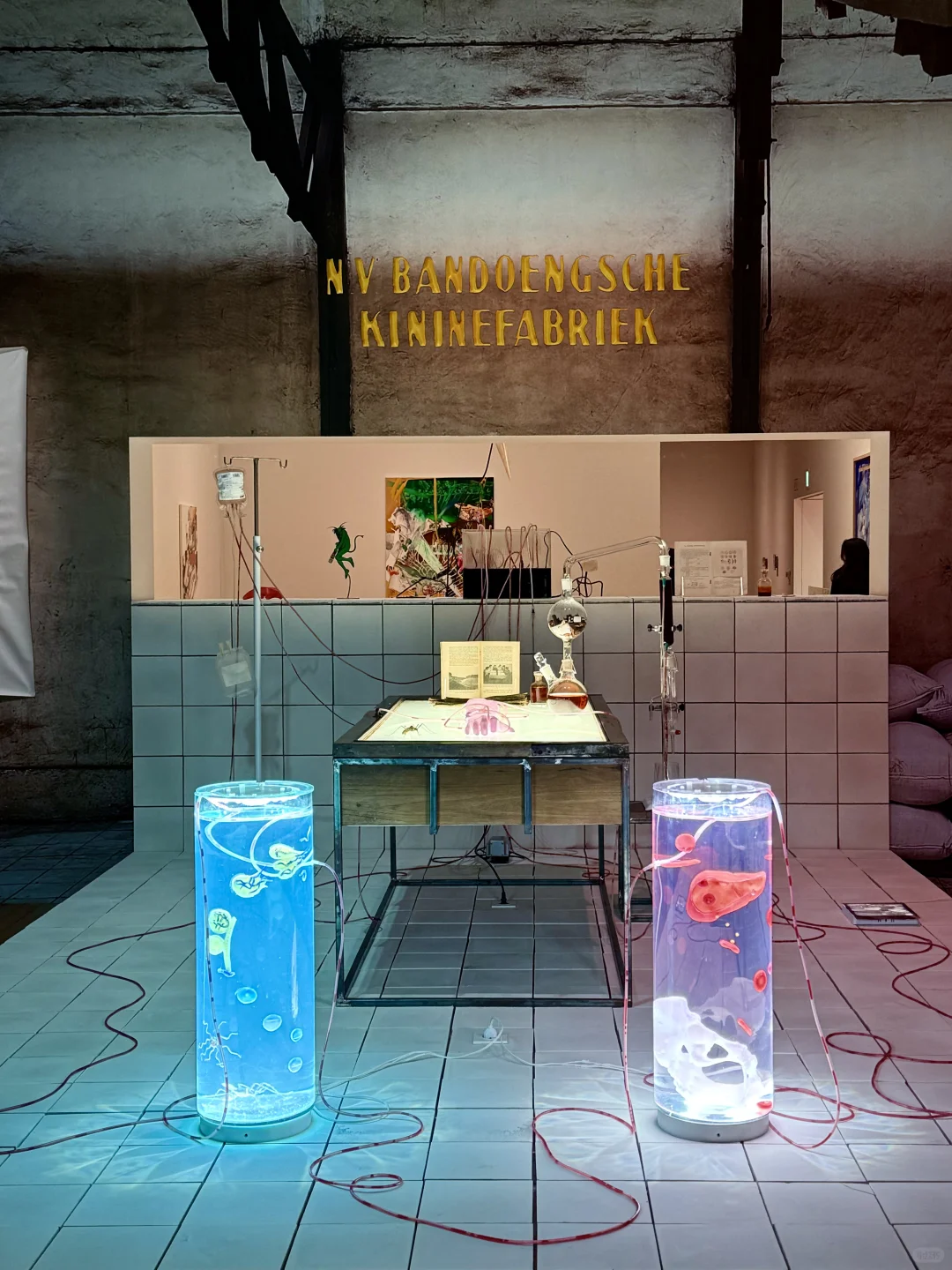 东京看展??开年没看这3个展 等于白来东京