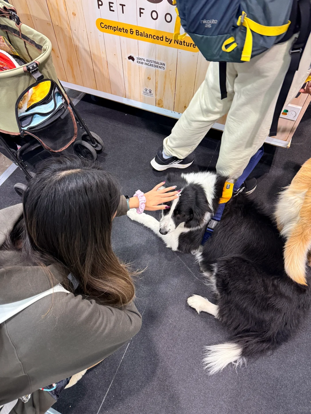 偶遇cityu?? Dr.Paws?