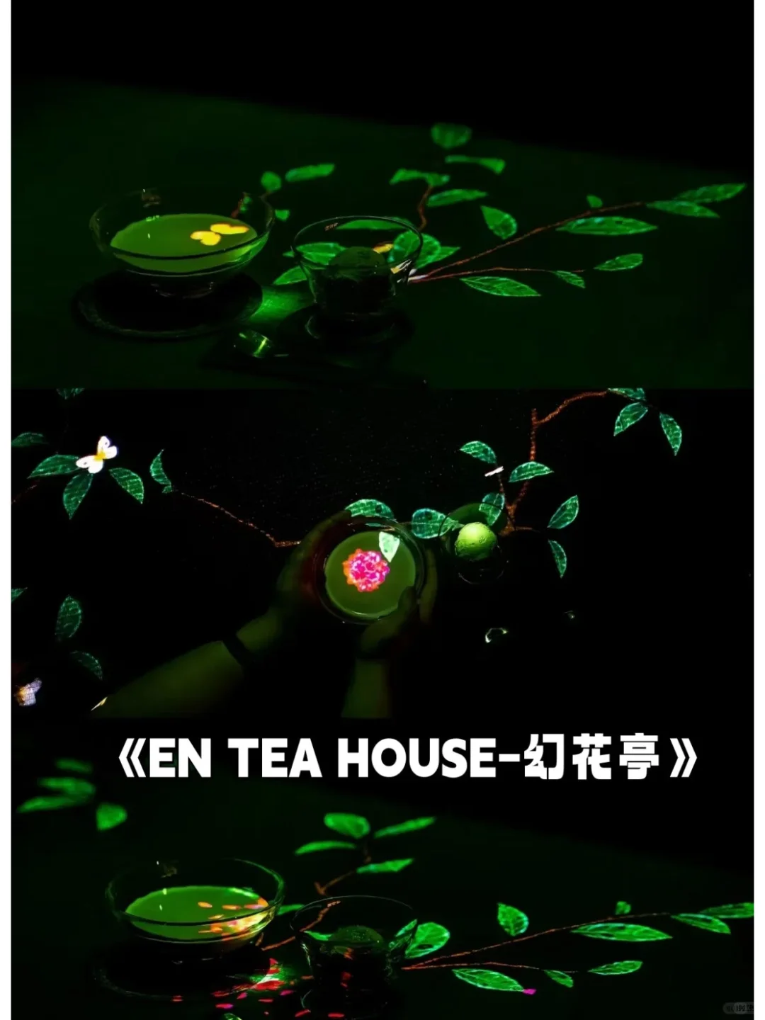 ?春节必去TeamLab澳门超自然空间