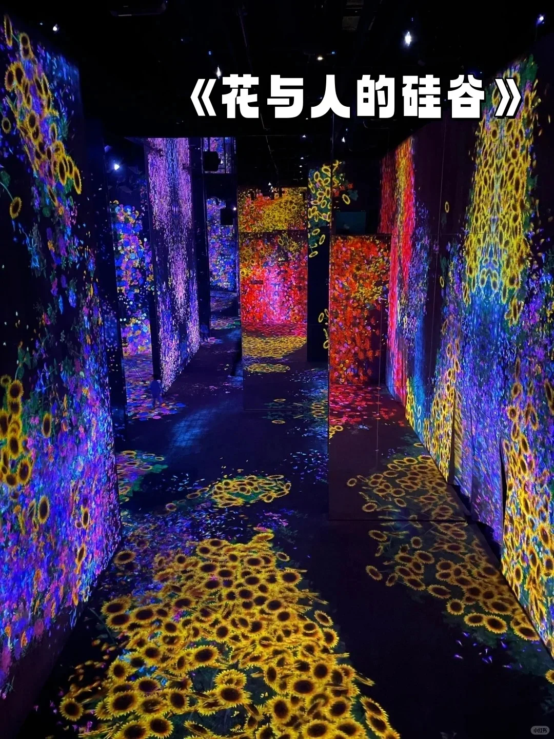 ?春节必去TeamLab澳门超自然空间