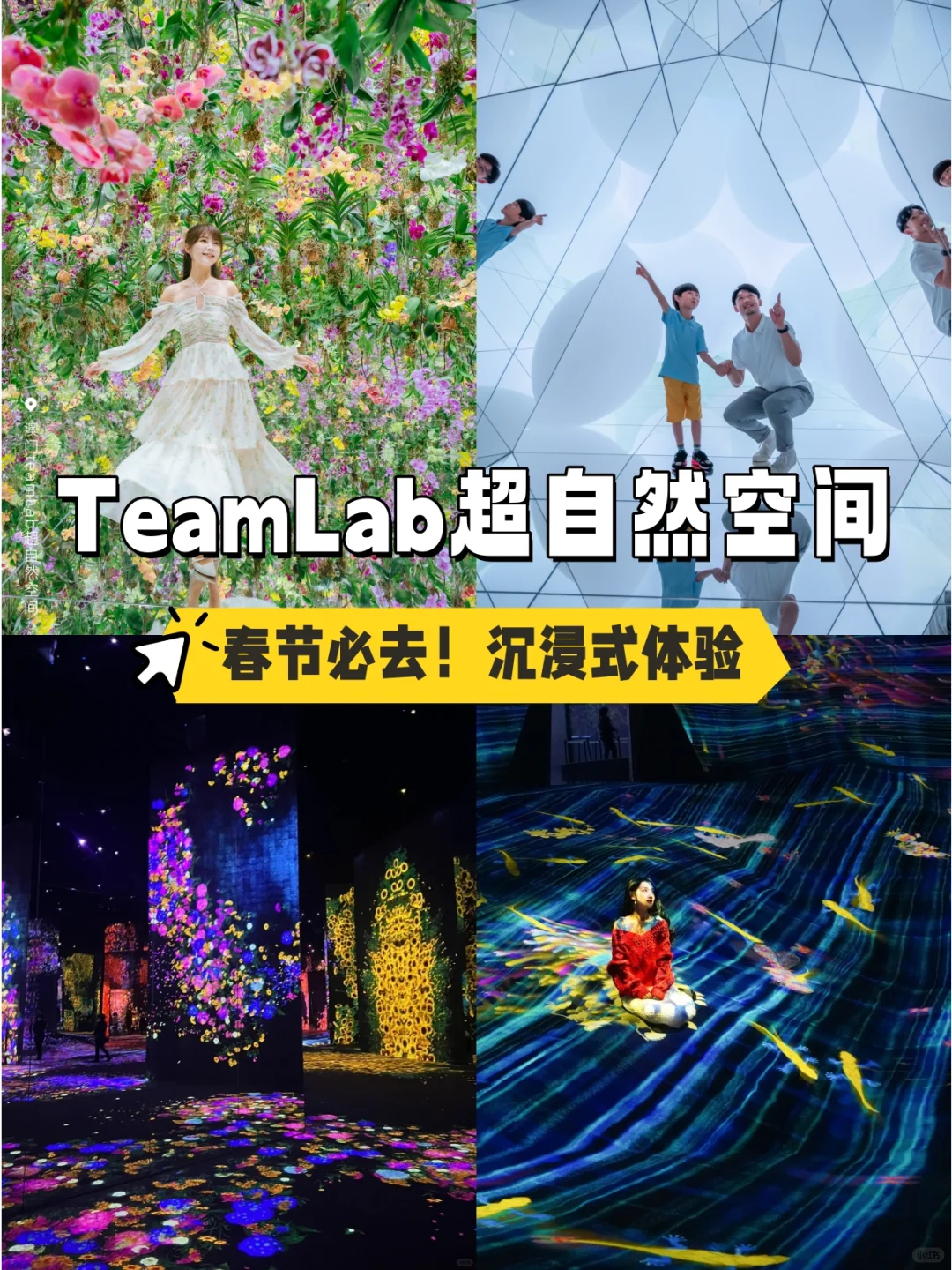 ?春节必去TeamLab澳门超自然空间
