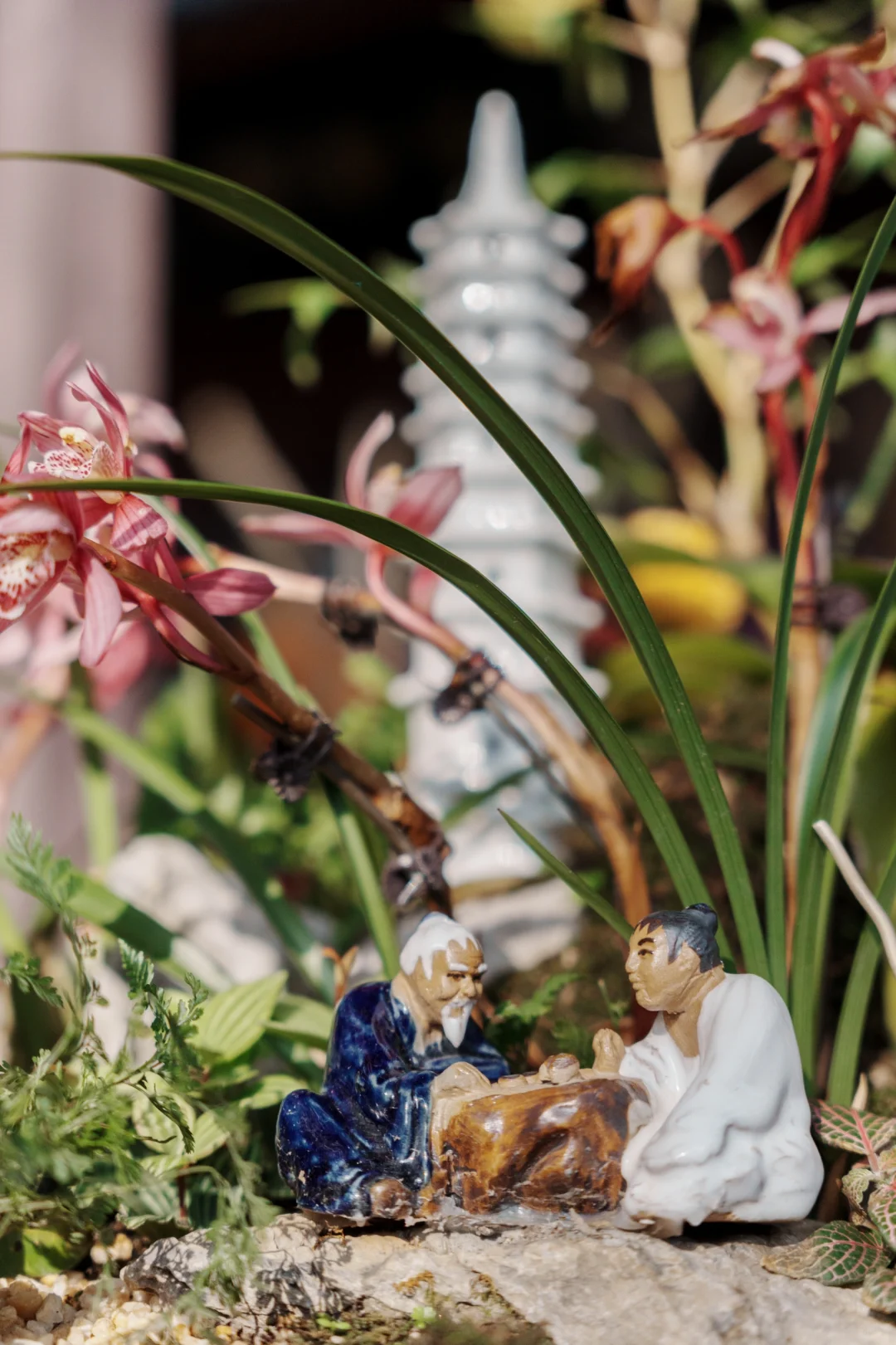 福州拍照｜福州于山兰花展真的好美❗️❗️❗️