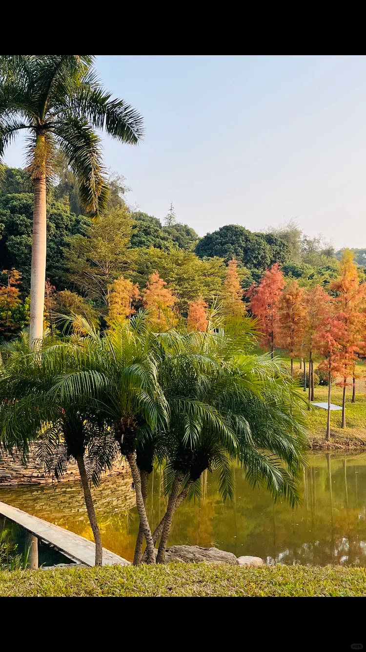 从云溪植物园出来，逛了一圈