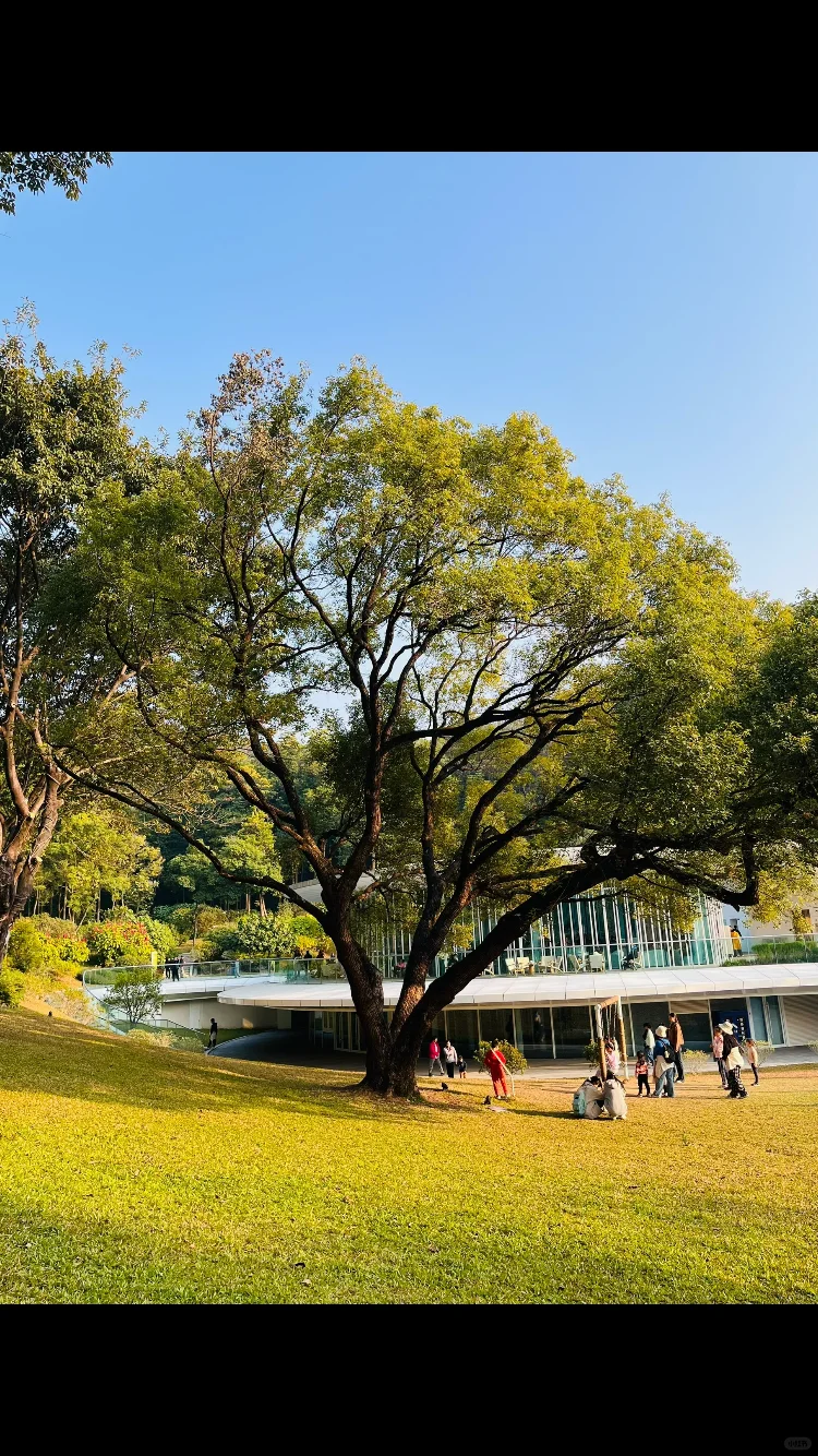 从云溪植物园出来，逛了一圈