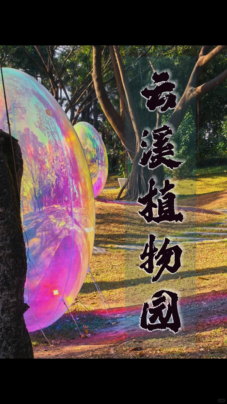 从云溪植物园出来，逛了一圈