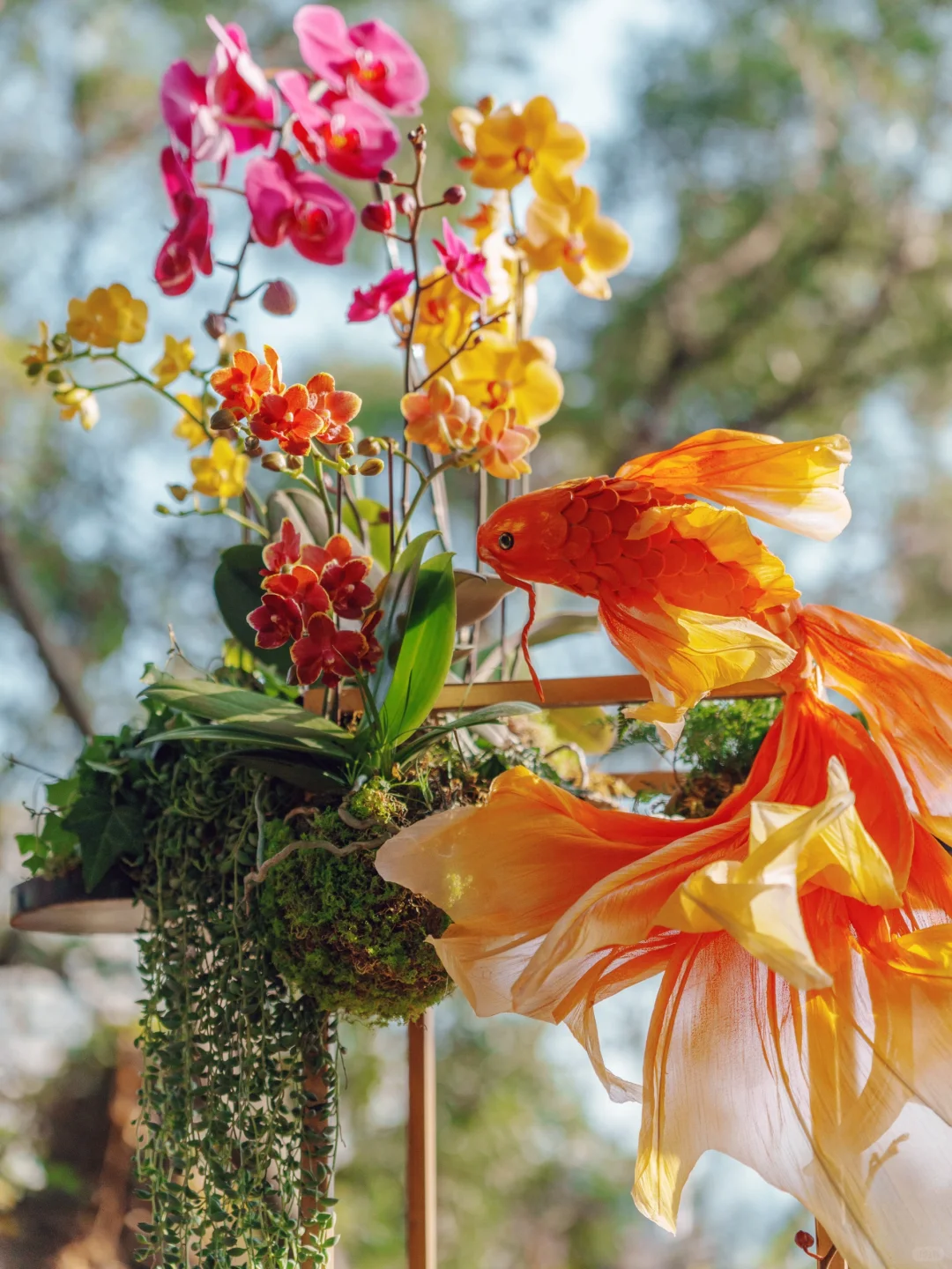 福州拍照｜福州于山兰花展真的好美❗️❗️❗️