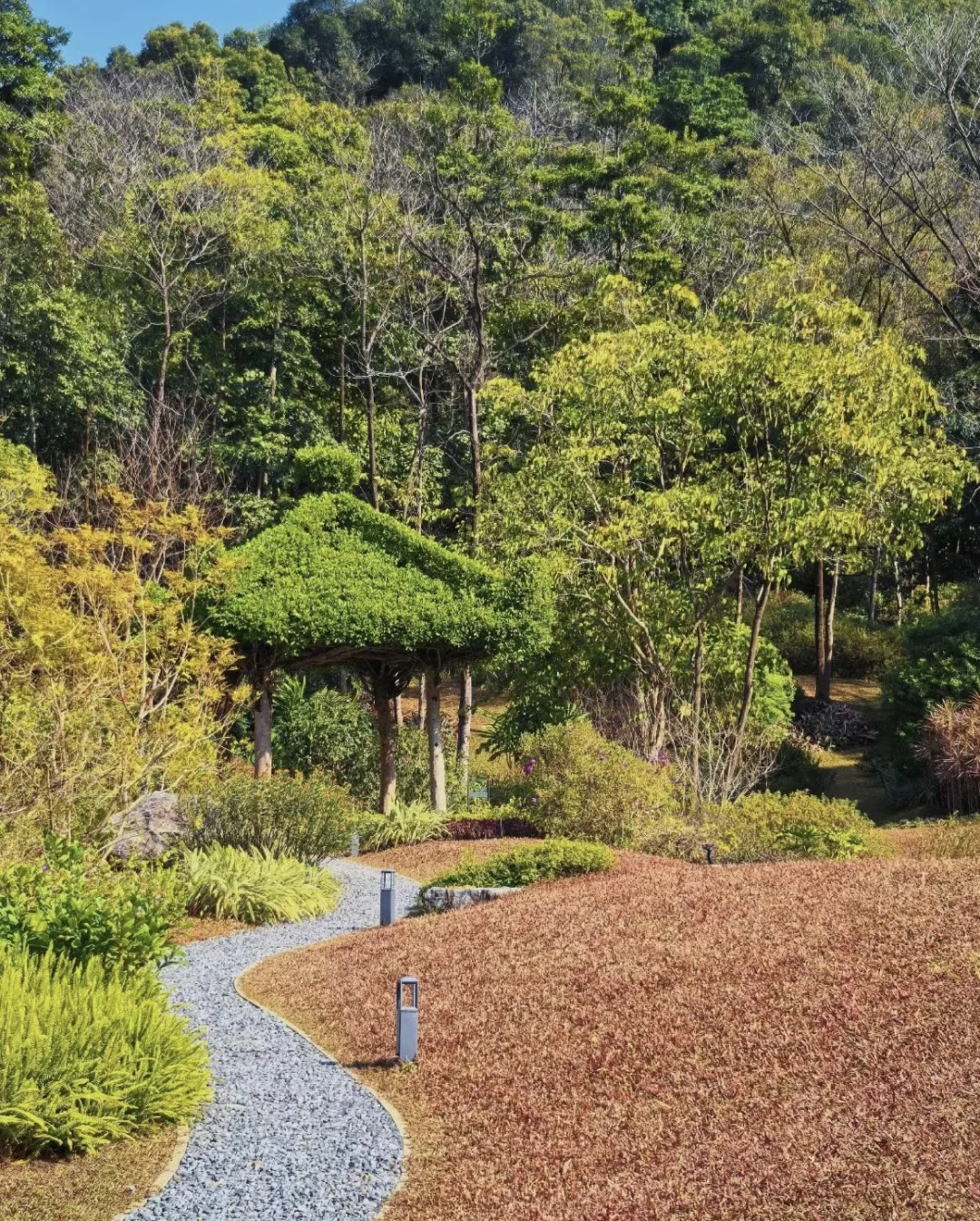 新春好去处：免费游云溪植物园！！！